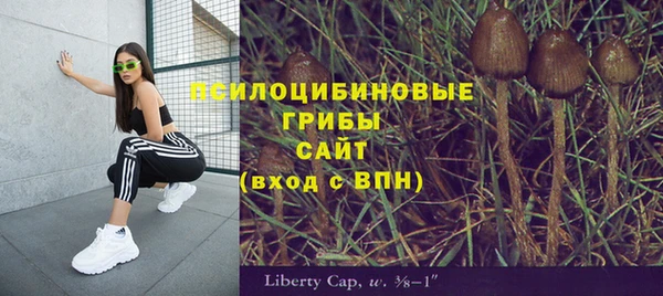 apvp Балахна