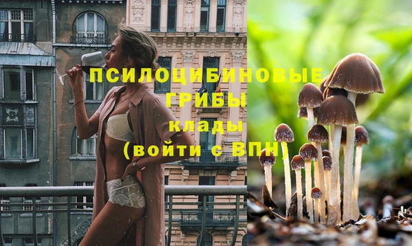 MESCALINE Баксан