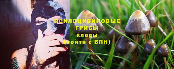MESCALINE Баксан