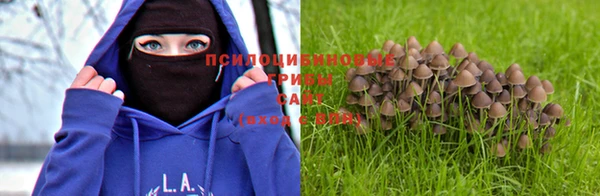 apvp Балахна